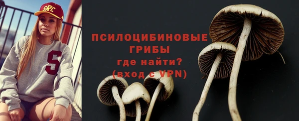 МДПВ Белоозёрский