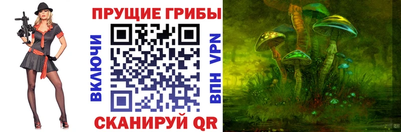 mega tor  Окуловка  Галлюциногенные грибы прущие грибы 